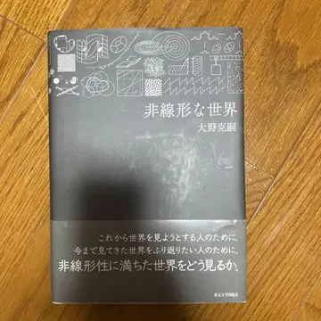 비선형적인 세계