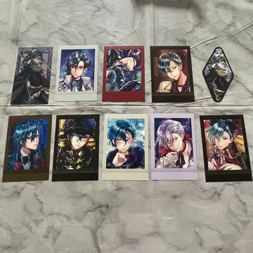 악마고양이 파샤코레 하울레스