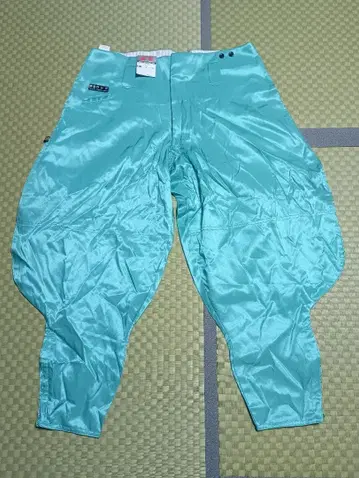 TORAICHI TOBISHOZOKU 워크 팬츠 6000 터콰이즈