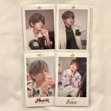 우라타누키 타누완 JEWEL Flower 폴라로이드 폴라로이드풍 카드