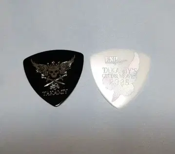 THE ALFEE 타카미자와 토시히코 기타 피크 2개 세트