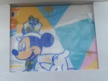 디즈니씨 서클 타월