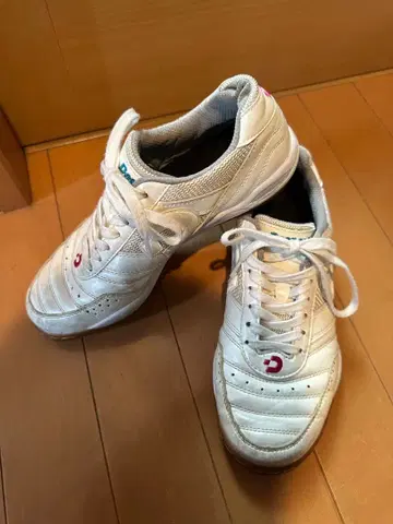 데스포르치 풋살화 24.5