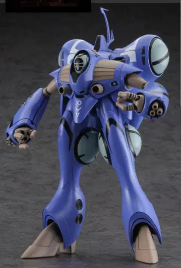 마크로스 QUEADLUUN-RAU MAXIMILIAN JENIUS