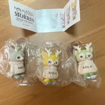 VAG MORRIS x MILK 3색 세트 히나타카호리