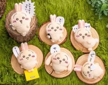 토끼 투성이 복권 E상 컴플리트 세트