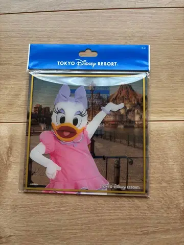 디즈니 데이지 클리어 색지