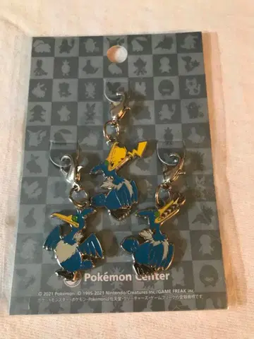 포켓몬 우르오 메탈 참 전국도감