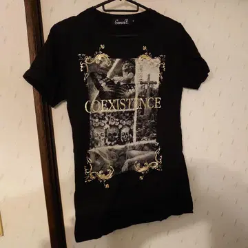 카발리아 cavariA 스컬T셔츠 44 시크 스타일 헤이세이 V계