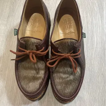 파라부트 미카엘 토끼