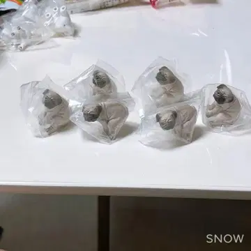 펀바리누 퍼그 6체 세트