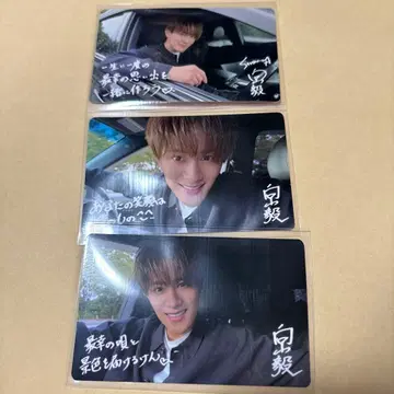 SHOW-WA 무카이야마 츠요시