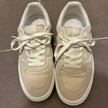 VANS 베이지 스니커즈 로우컷