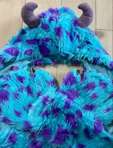 디즈니 팬캡 샐리