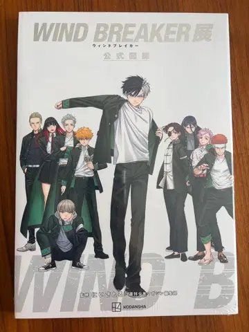 WIND BREAKER전 공식 도록 윈브레전