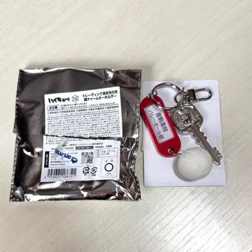 하이큐 트레이딩 고교명 포함 열쇠 참 키링 네코마 고교