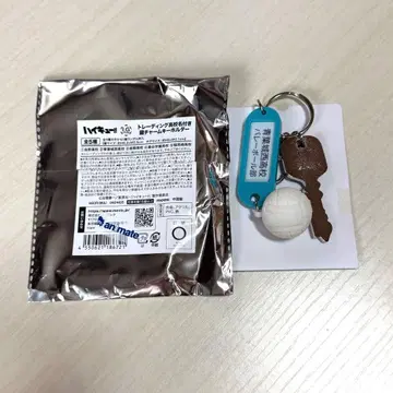 하이큐 트레이딩 고교명 포함 열쇠고리 참 키링 아오바죠사이 고교