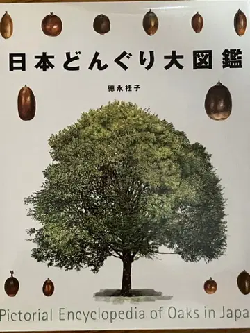 [ 일본 동동이 대도감 ] 토쿠나가 케이코