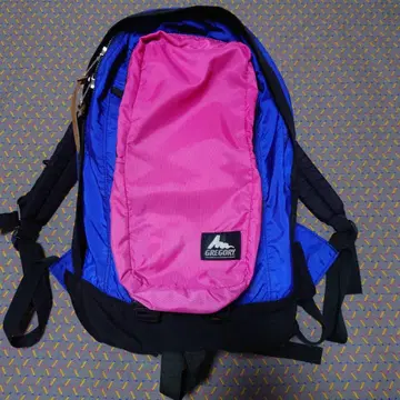 그레고리 데이팩 싱글 포켓 블루 핑크 좋은 색 파랑 택 USA