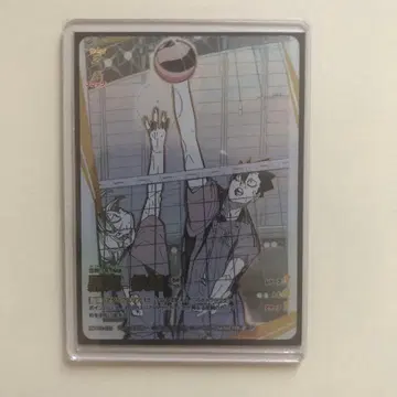 하이큐 바보카 쿠로오 테츠로 P