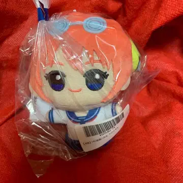 3년 Z반 긴파치 선생님 SD 인형