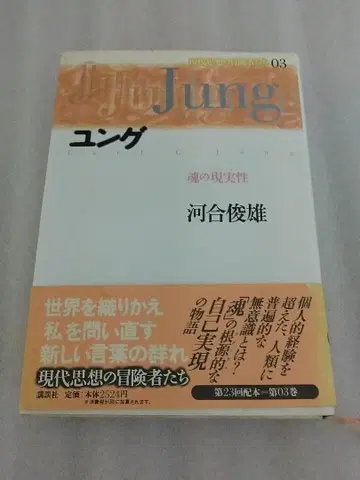 융 영혼의 현실성 (현대 사상의 모험가들 제3권)