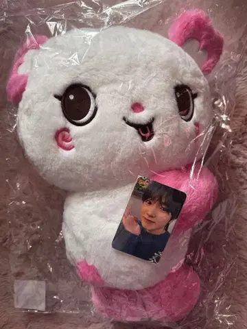 NCTWISH 사쿠야 빵 봉제 인형 백