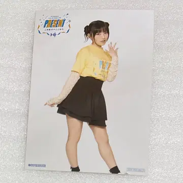 히나 81프로듀스 특전 브로마이드