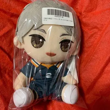 하이큐!! 오리지널 봉제 인형 vol.4 스가와라 코시