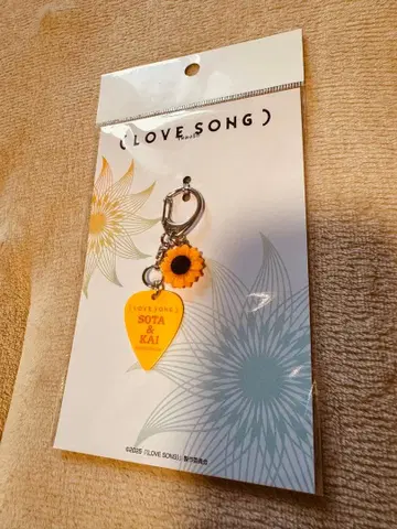 LOVE SONG SOTA & KAI 키링 피크 키링