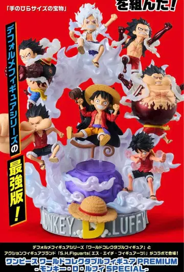 월드 컬렉션 premium 루피 Special