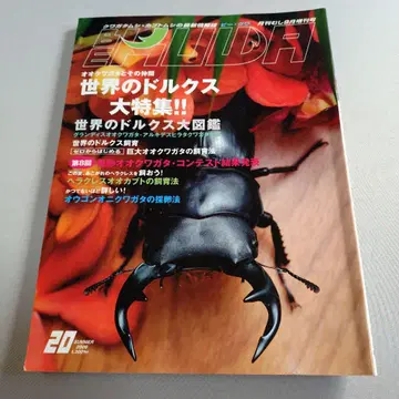 BEKUWA 비크와 20-21, 25, 28-29 5권