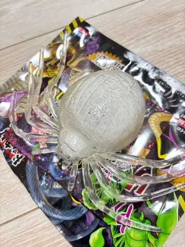 늘어나는 리얼 위험 생물 빛나는 거미