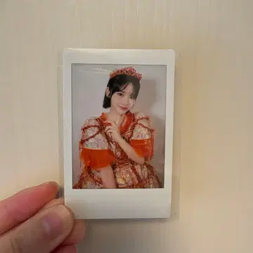 진세이 스즈카 프린트 폴라로이드