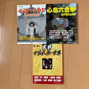 무술 우슈 별책 심의육합권 중국 무술의 세계