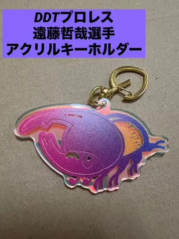 [레어템] DDT 프로레슬링/NOAH 엔도 테츠야 선수 아크릴 키링