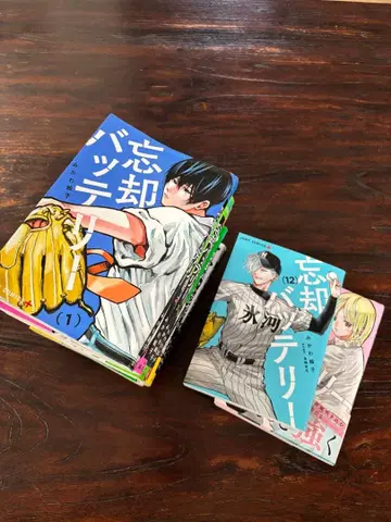 망각 배터리 13권 세트