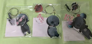 교육 방송 팝업 타마 아크릴 키링 3종 세트