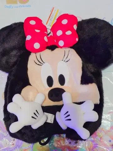 디즈니 미니 팬캡