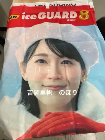 요시오카 리호 노보리