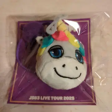 3대째 고바야시 나오키 폼폼 머리끈