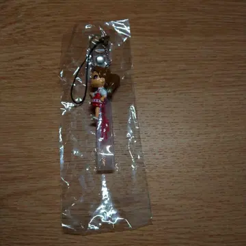 새상품 안나 미러 스트랩 키링