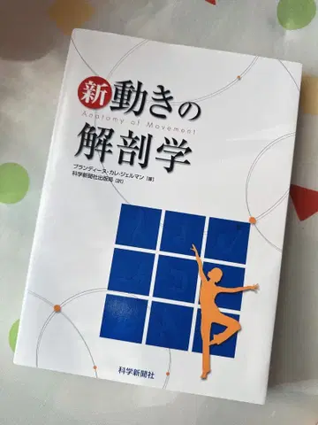 새로운 움직임의 해부학