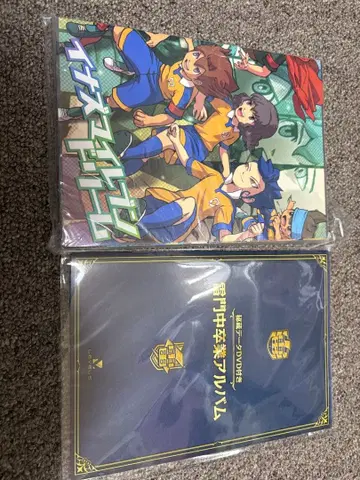 이나즈마 일레븐 드림 라이몬 중학교 졸업 앨범