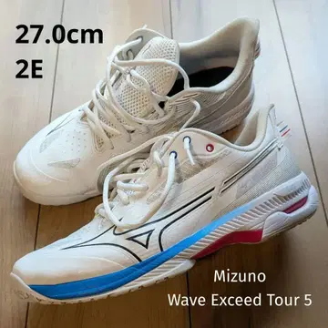 미즈노 웨이브 엑시드 투어 5 AC 27.0cm