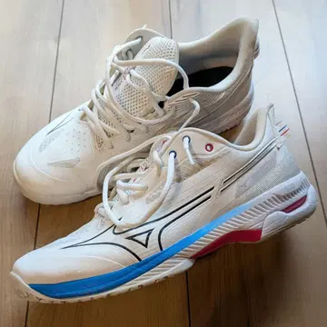 미즈노 웨이브 엑시드 투어 5 AC 27.0cm