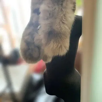 베이지 퍼스트 폭스 퍼 목도리