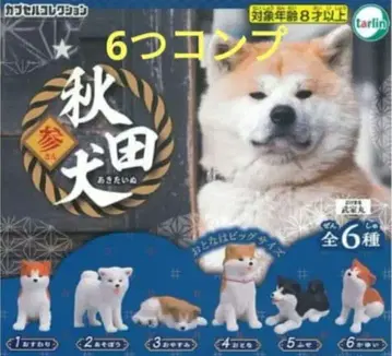 아키타견 삼 가챠 새상품 가챠가챠 6개 컴프 즉시 구매 가능 익명 배송