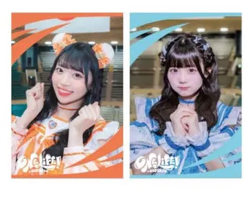 iLiFE! 온라인 복권 F상 클리어 카드 세트 코구마 마무 니지바 미니