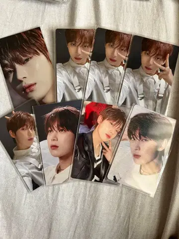 ENHYPEN 선우 트레이딩 카드  8장 혜택